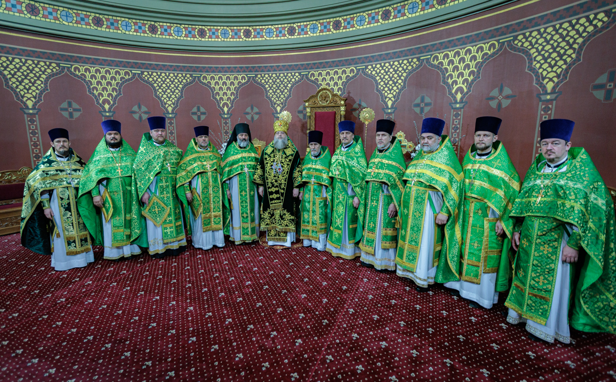 Глава донской митрополии