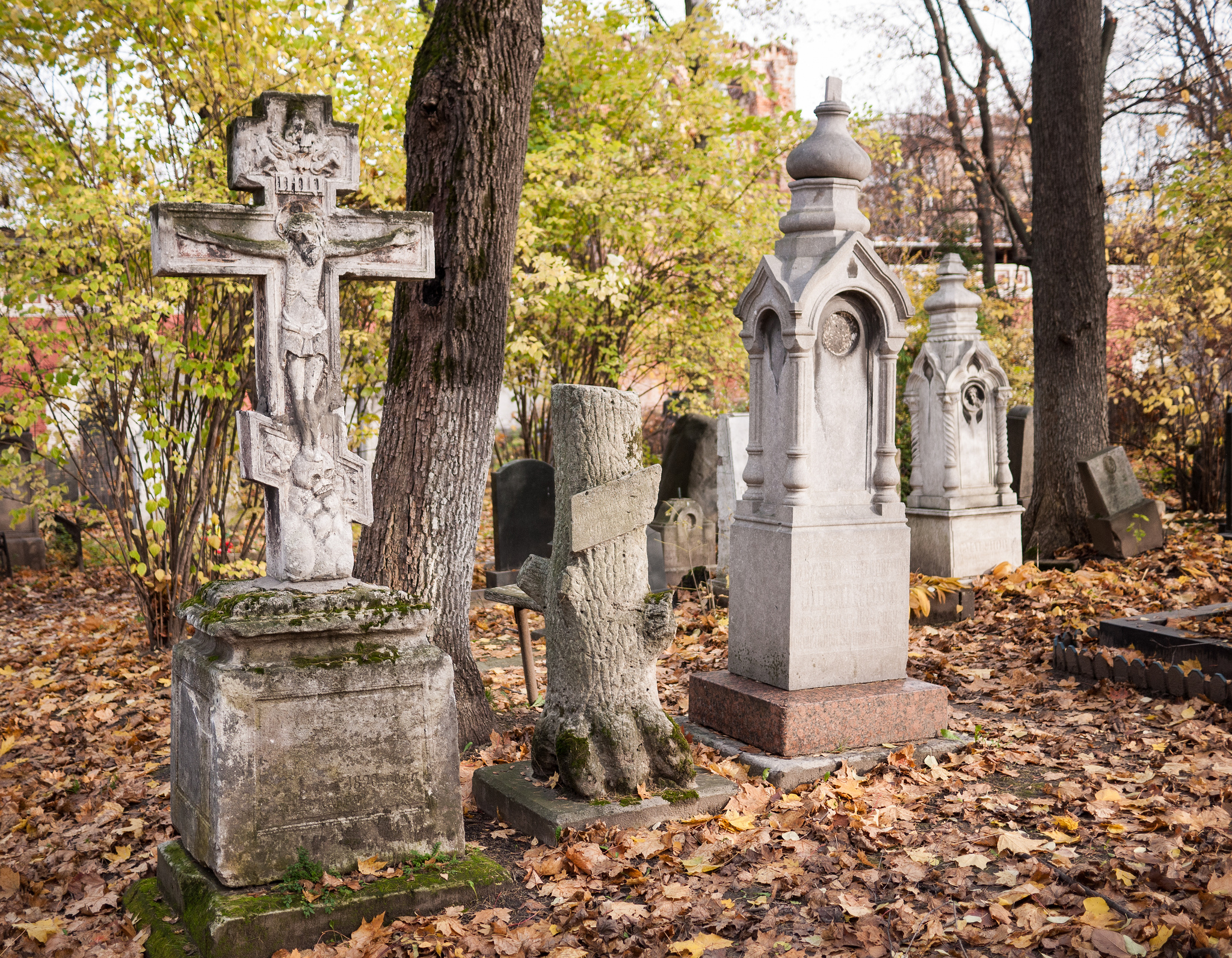 Ростовская-на-дону епархия - древо